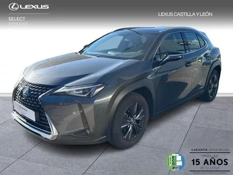 LEXUS UX UX 250h Business City 2WD