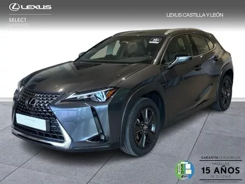 LEXUS UX 300H + 2WD