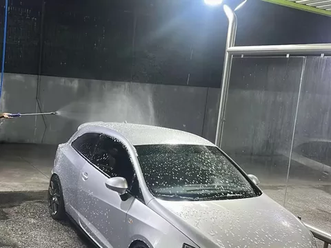 SEAT Ibiza 1.4 TDI DPF Reference