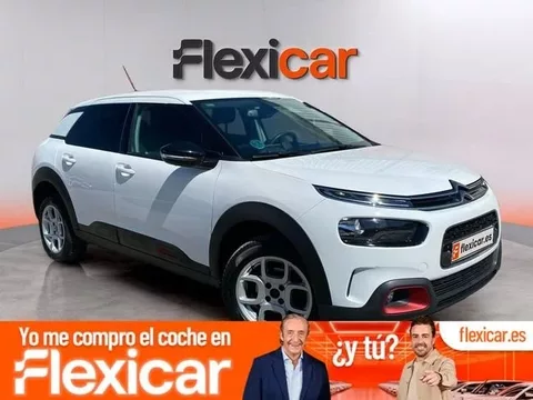 CITROEN C4 Cactus C4 Cactus 1.2 PureTech S&S Shine 110