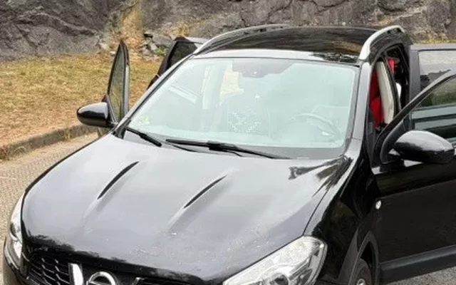 NISSAN Qashqai Q+2 1.5dCi Tekna Sport 4x2 18´´