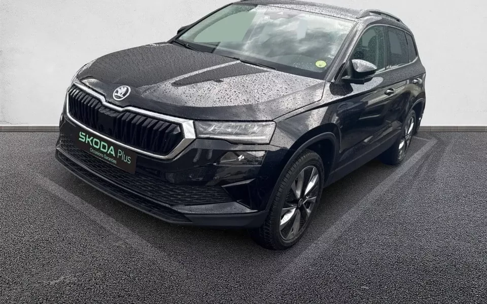 SKODA KAROQ 2.0 TDI 116 ch SCR Business