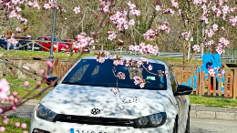 VOLKSWAGEN Scirocco Scirocco 1.4 TSI