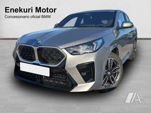 BMW X1 X1 xDrive 20dA