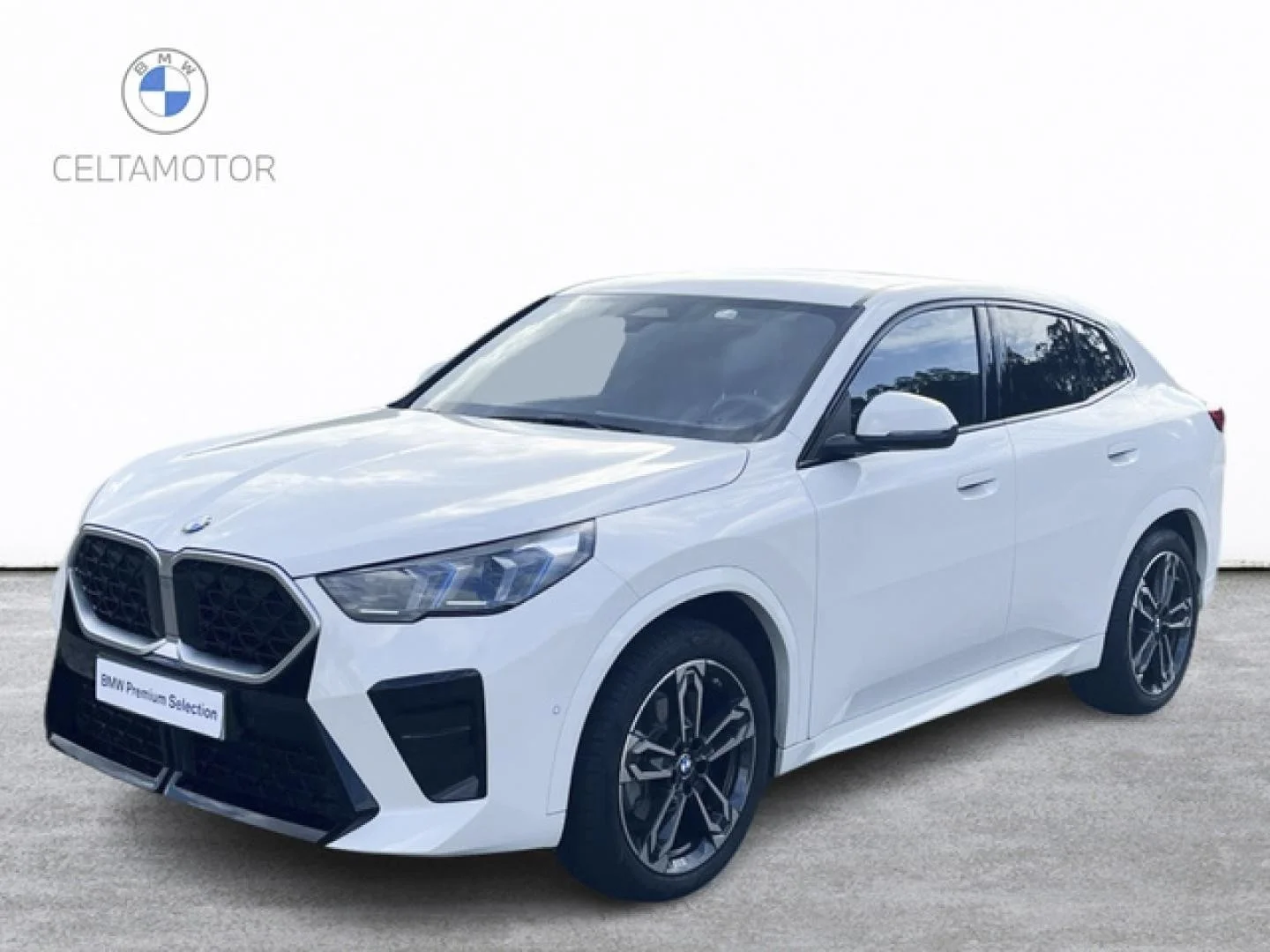 BMW X2 X2 xDrive 20dA
