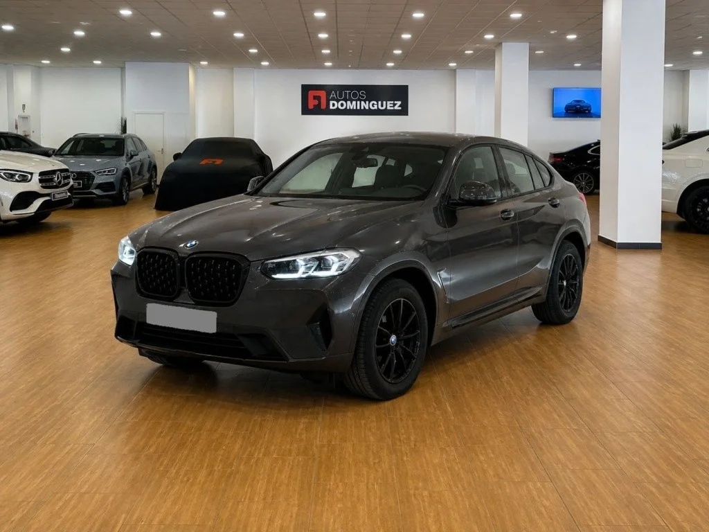 BMW X4 X4 xDrive 20dA xLine