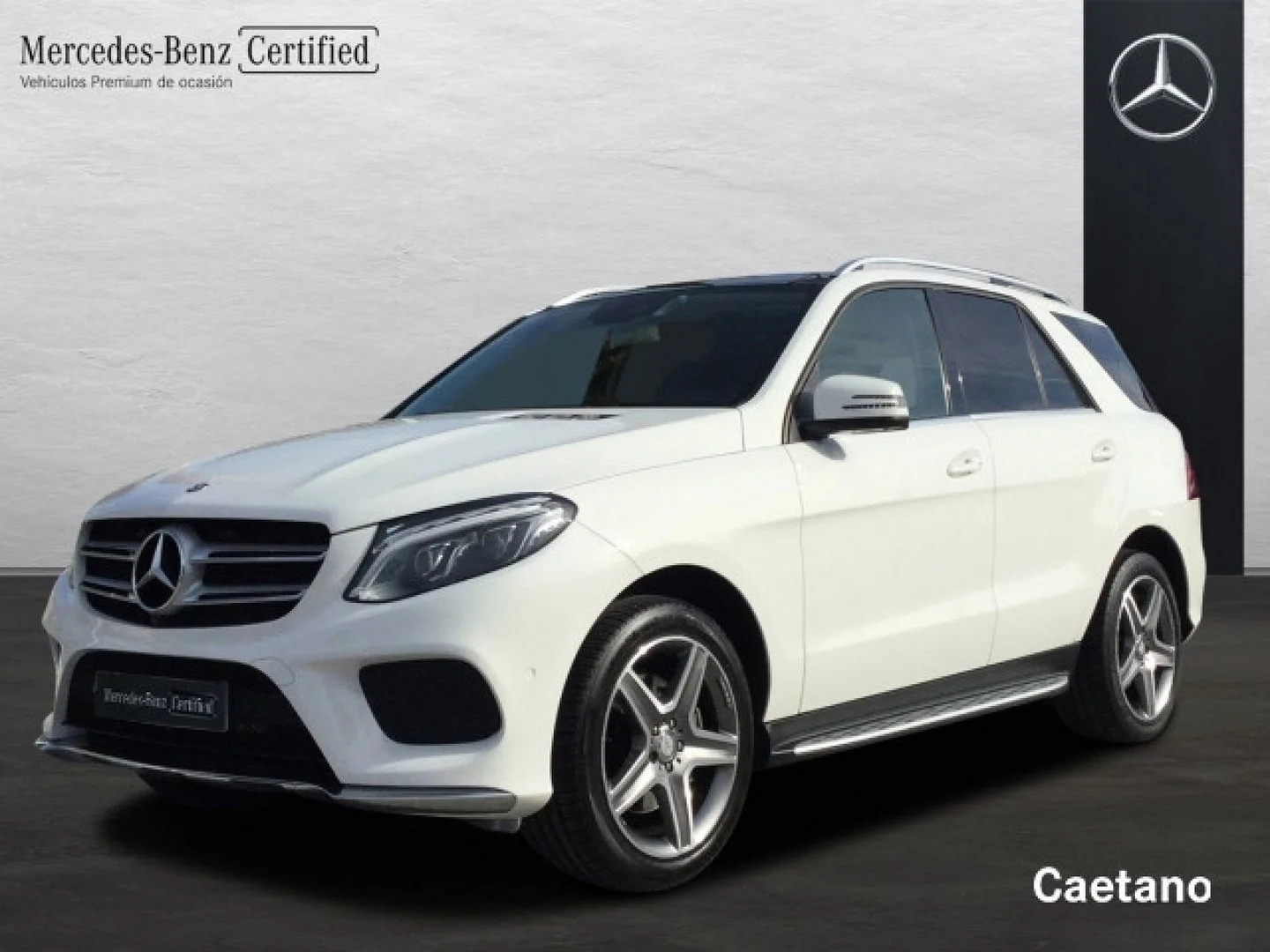 MERCEDES-BENZ Clase GLE GLE 250d 4Matic Aut.