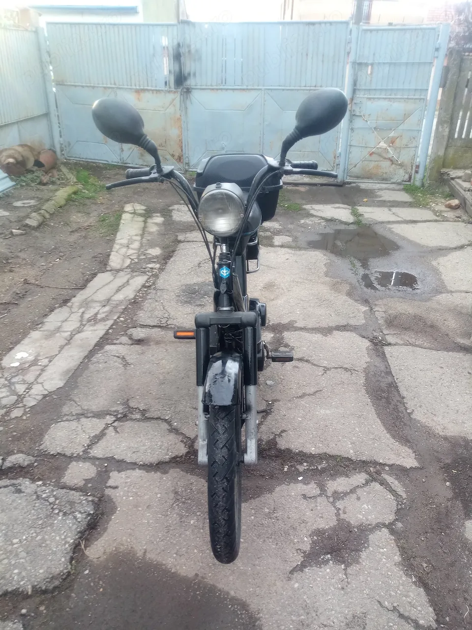 Foto 2