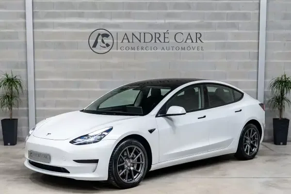 Tesla Model 3 2021 Standard Range Plus RWD