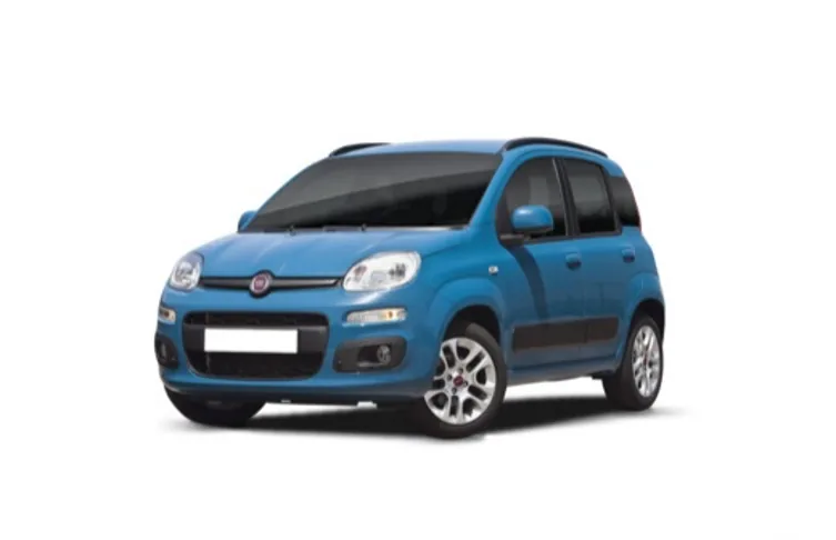 FIAT - Panda - Panda 1.2 Lounge S S