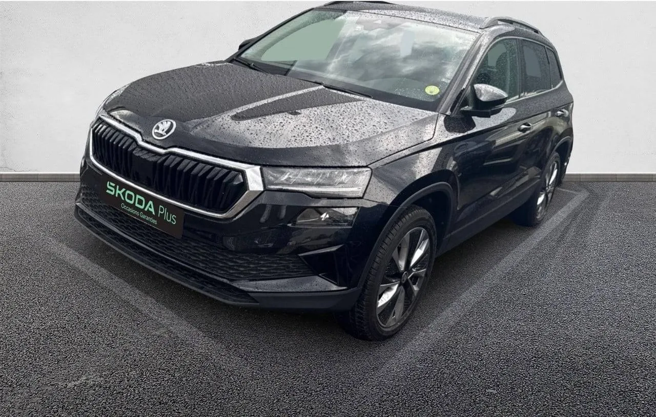SKODA KAROQ 2.0 TDI 116 ch SCR Business