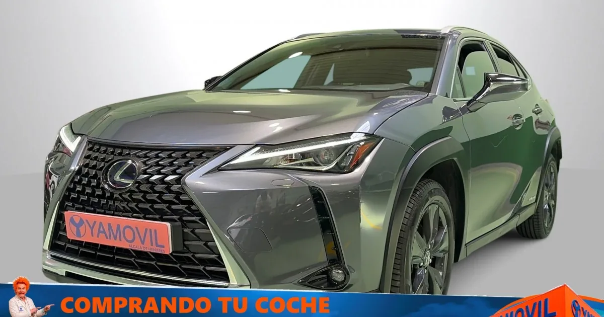 Lexus UX 250h Business 2WD 135 kW (184 CV)